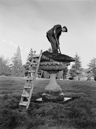 NED DEGAN GARDENER, PLANTING FLOWERS AT EMO COURT